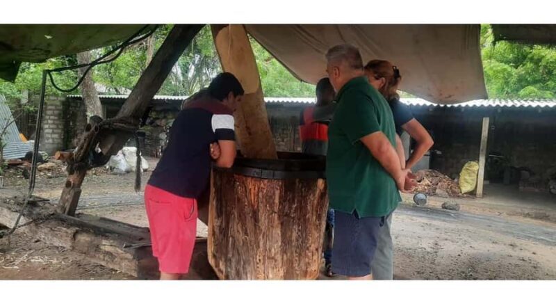 Jaffna Traditional Sesame Oil Extraction Experience - Final Thoughts