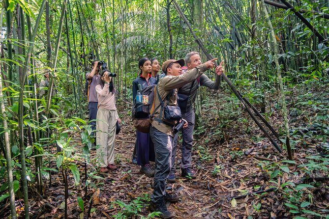 Jahoo: Gibbon Tracking Walk in Keo Seima Wildlife Sanctuary - What’s Included and What’s Not