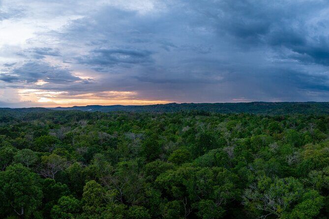 Jahoo: Gibbon Tracking Walk in Keo Seima Wildlife Sanctuary - Who would love this tour?