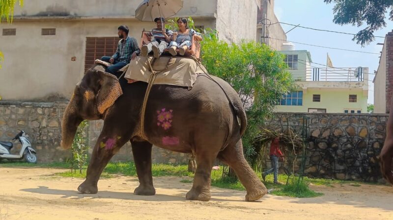 Jaipur 2 Day Private Tour With Guide - Practical Tips for the Jaipur 2-Day Tour