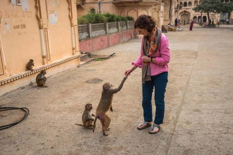 Jaipur: Abhaneri Stepwell & Village Life Experience - FAQ