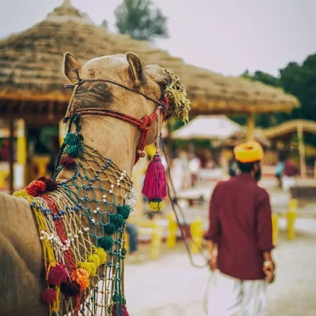 Jaipur Chokhi Dhani Village Dinner with Transfers with guide - FAQ