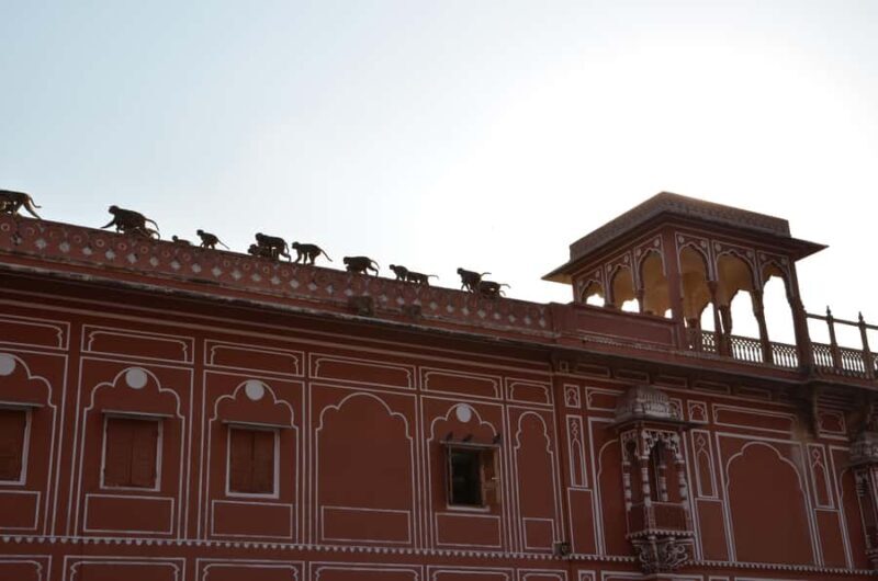 Jaipur: City Highlights Tour with Local Transport - Key Points