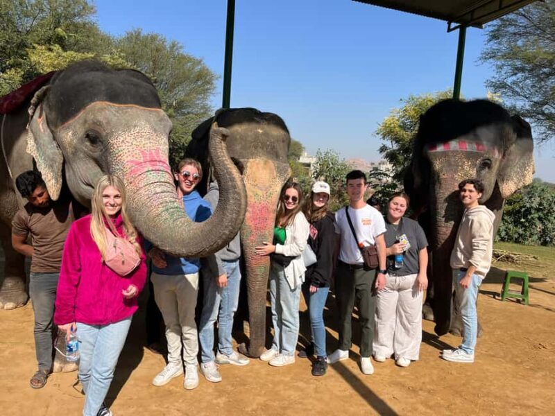 Jaipur: City Tour With Elephant Interaction - An In-Depth Look at the Jaipur City Tour with Elephant Interaction