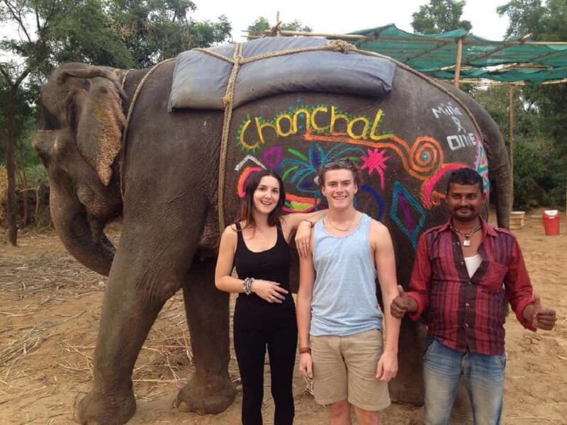 Jaipur: Elephant Experience Feed, Paint & Ride with Pickup - The Experience at Jaipur’s Elephant Village: What to Expect