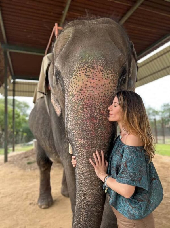 Jaipur: Elephant Experience Feed, Paint & Ride with Pickup - Final Thoughts: Is This Tour Worth It?