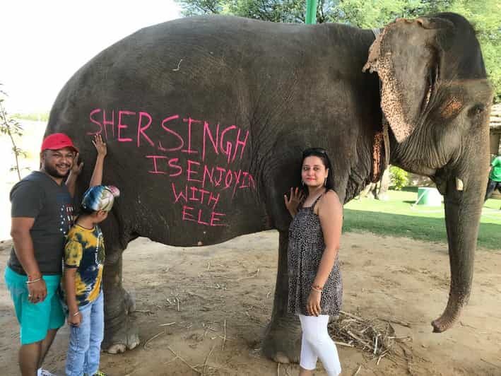 Jaipur: Elephant Interaction Tour - Final Thoughts