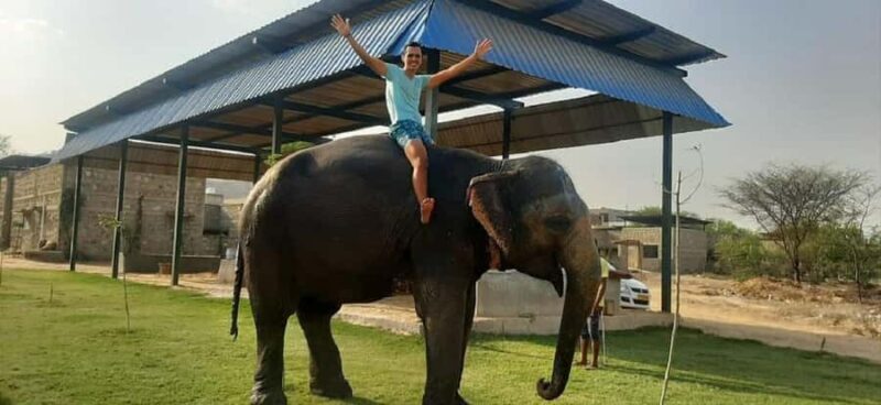 Jaipur Elephant Village: Elephant Riding, Painting, Feeding - Who Would Love This Experience?