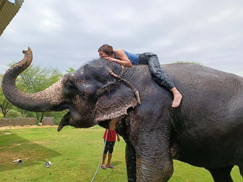 Jaipur Elephant Village: Elephant Riding, Painting, Feeding - FAQ