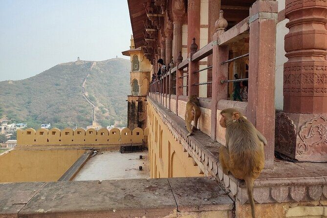 Jaipur Evening Tour with Monkey Temple and Block Print - What Travelers Say