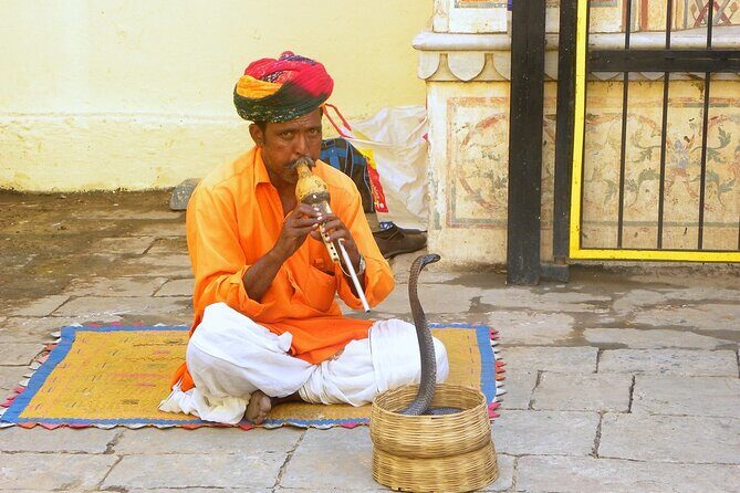 Jaipur Evening Tour with Monkey Temple and Block Print - Final Thoughts: Is This Tour for You?
