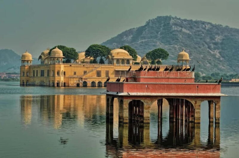 Jaipur: Explore Amber, Jaigarh & Nahargarh Fort with Sunset - Who Will Love This Tour?