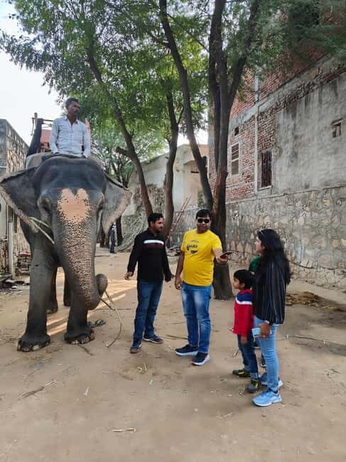 Jaipur: Full-Day city Tour By AC vehicle with Guide - What Sets This Tour Apart?