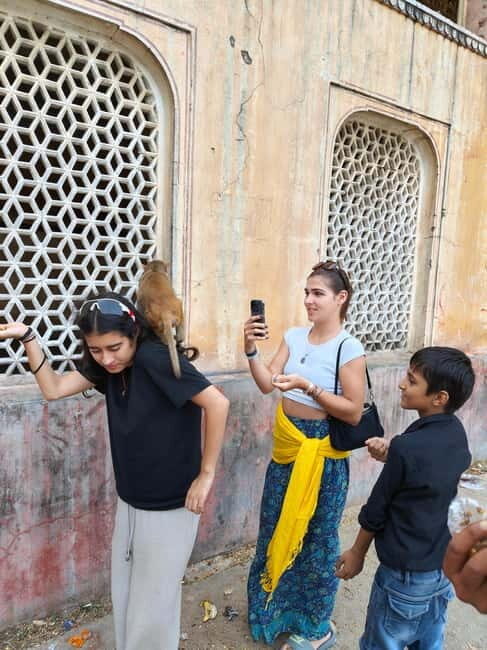 Jaipur Full-Day City Tour with Monkey Temple By AC Car - Exploring Jaipur’s Main Attractions