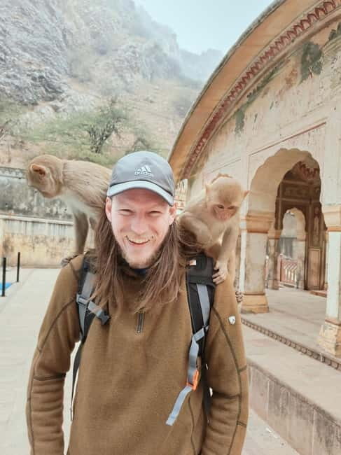 Jaipur Full-Day City Tour with Monkey Temple By AC Car - The Sum Up