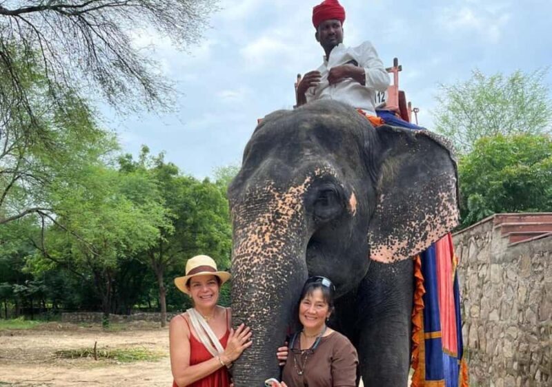 Jaipur : Full day Jaipur City Tour and Drop Delhi - Discover the Charm of Jaipur in a Day: Full Tour with Delhi Drop