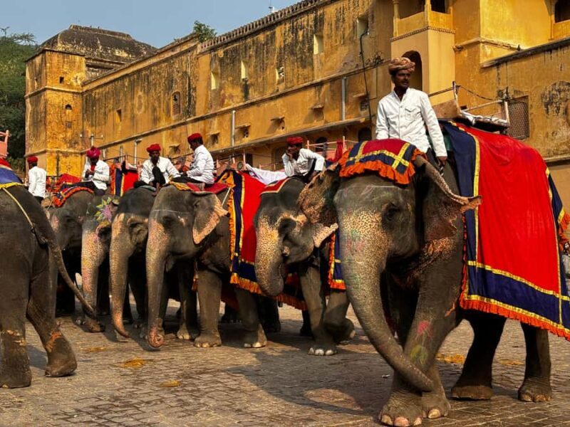 Jaipur : Full day Jaipur City Tour and Drop Delhi - FAQ