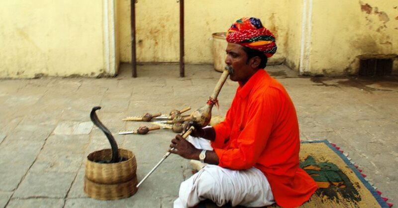 Jaipur: Full-Day Private City Tour by Car with Guide - Why Choose This Tour?