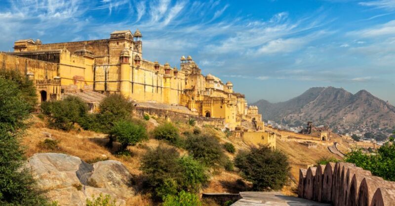 Jaipur: Full-Day Private City Tour by Car with Guide - Additional Options to Enhance Your Experience