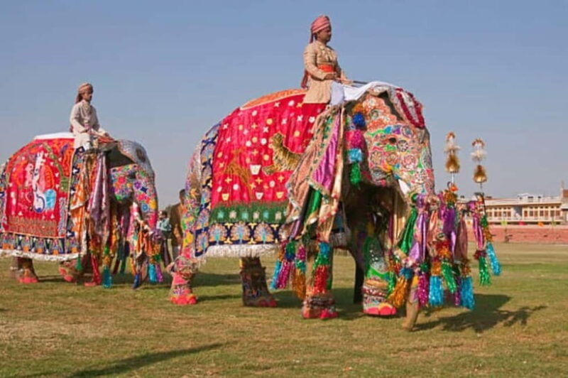 Jaipur: Full-Day Sightseeing Tour By Car with Guide - Who Would Love This Tour?