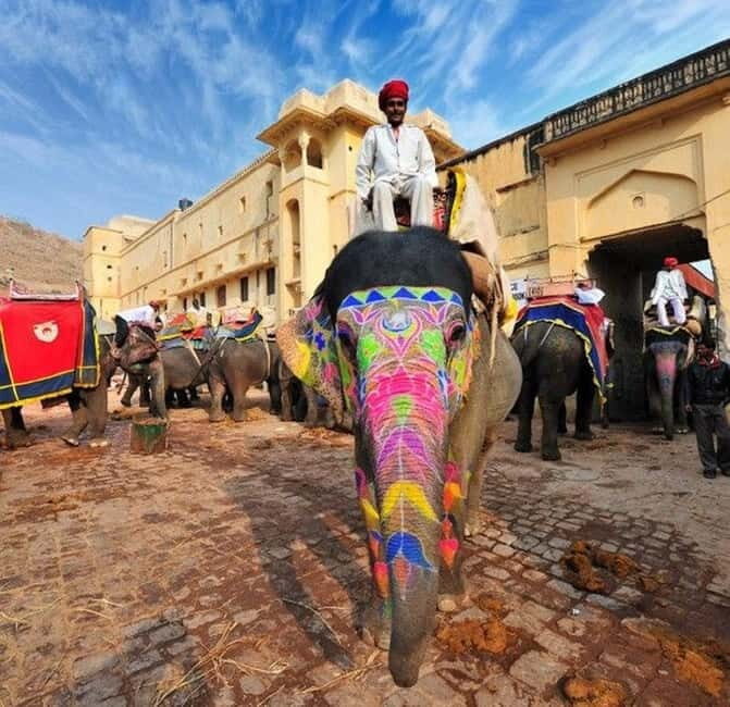 Jaipur: Full-Day Sightseeing Tour By Car with Guide - Who Will Love This Tour?