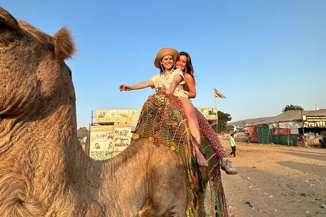 Jaipur Full-Day Sightseeing Tour - What the Tour Includes and Omits