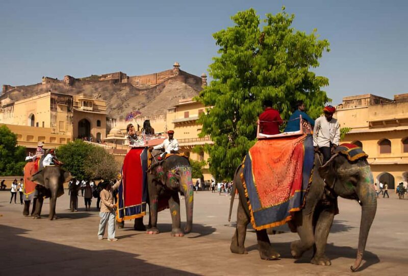 Jaipur Full Day Tour with Pickup & Drop-off in Agra or Delhi - Key Points