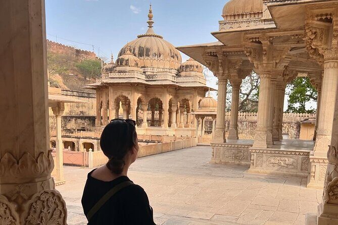Jaipur Half-Day Guided City Tour - An In-Depth Look at the Jaipur Half-Day Tour