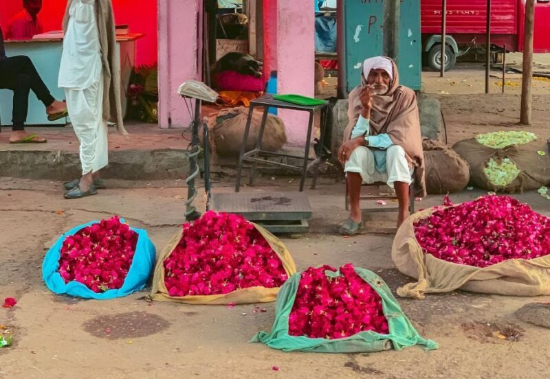 Jaipur: Half-Day Guided Sightseeing Tour with Flower Market - Authentic Experiences From Travelers