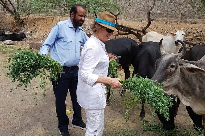 Jaipur Half-Day Private Tour by Car or Tuk-Tuk - Final Thoughts