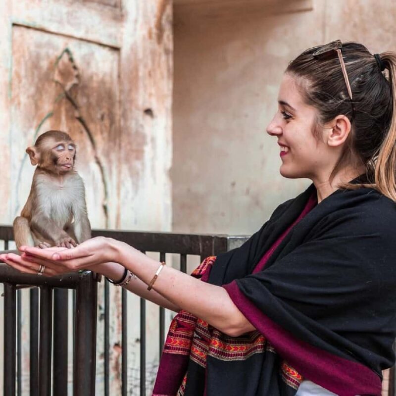 Jaipur: Half or Full-Day Sightseeing Tour with Guide+ Pickup - Practical Details and Value