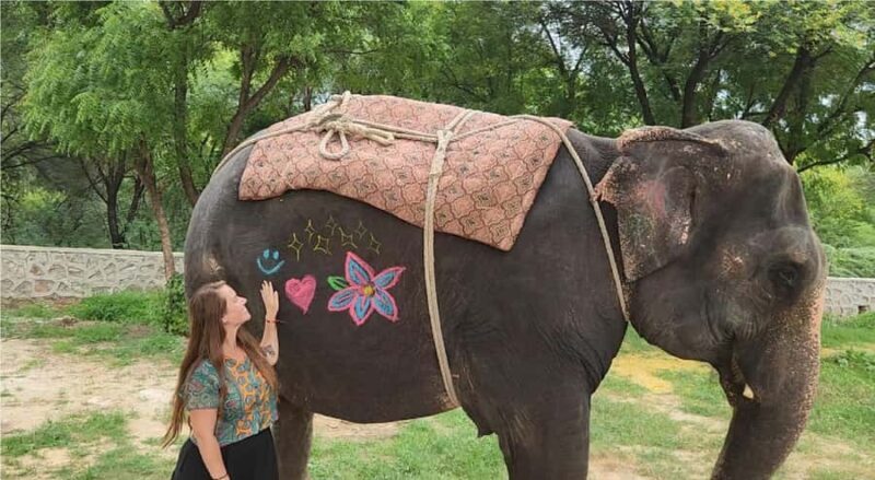 Jaipur: Hathi Gaon Elephant Riding Painting-Feeding Activity - The Experience in Detail