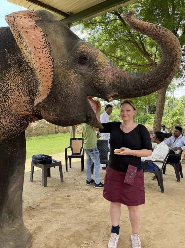 Jaipur: Hathi Gaon Elephant Riding Painting-Feeding Activity - Transportation and Logistics
