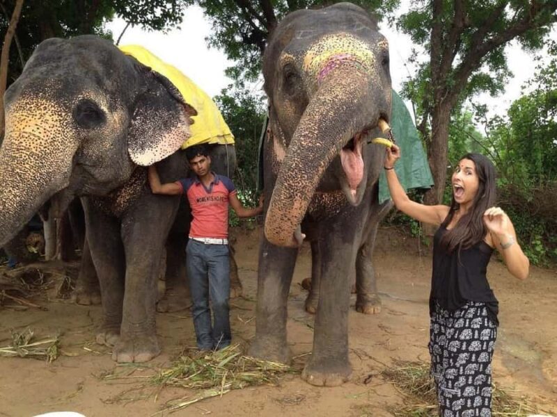 Jaipur: Hathi Gaon Elephant Riding Painting-Feeding Activity - Who Is This Tour Best For?