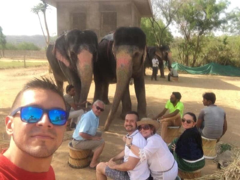 Jaipur: Hathigao Elephant Village Ride, Feeding, & Photos - Discovering Jaipur’s Hathigao Elephant Village: A Complete Guide