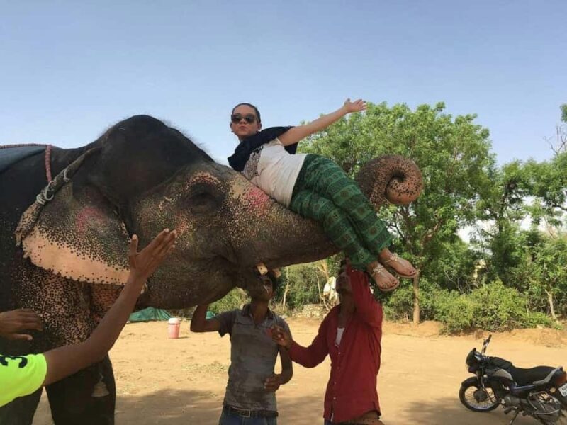 Jaipur: Hathigao Elephant Village Ride, Feeding, & Photos - An In-Depth Look at the Jaipur Elephant Village Tour