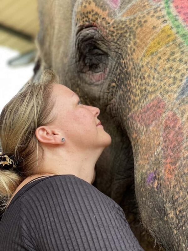 Jaipur: Hathigao Elephant Village Ride, Feeding, & Photos - FAQs