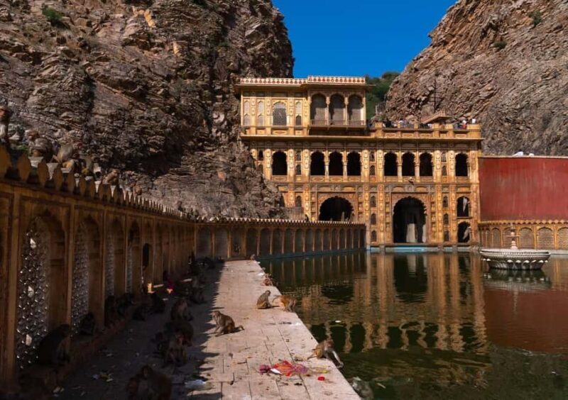 Jaipur: Heritage Forts & Palaces Tour with Monkey Temple - Who Will Love This Tour?