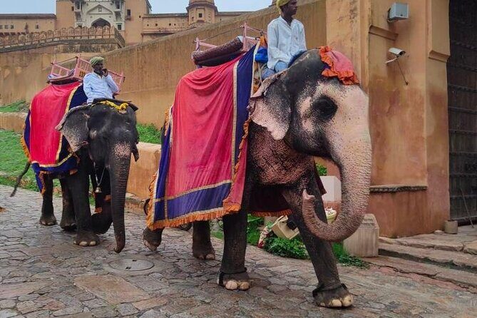 Jaipur Heritage Photography Tour - Authentic Feedback & Insights