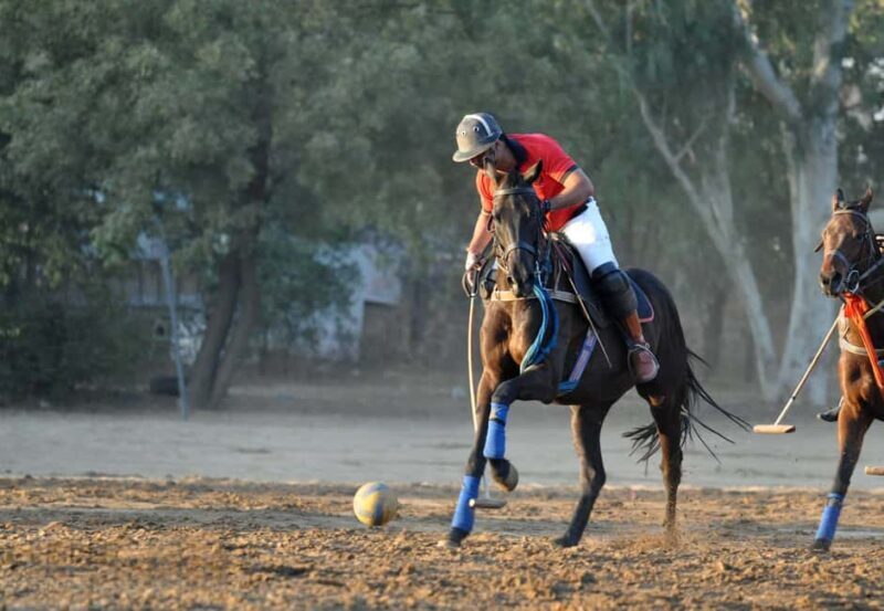 Jaipur Horse Riding Adventure - Frequently Asked Questions