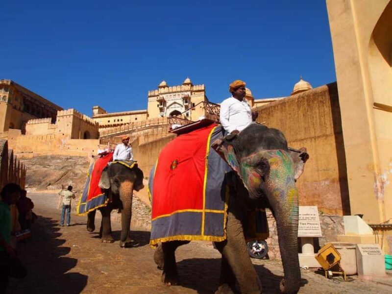 Jaipur in a Day: Explore the Capital of Rajasthan Pink City - An In-Depth Look at the Jaipur Day Tour