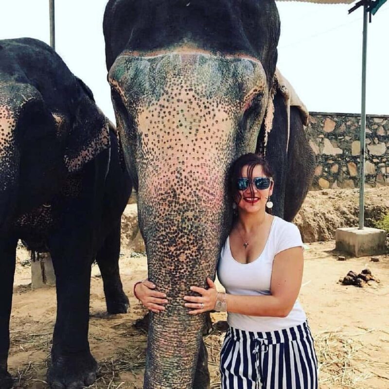 Jaipur: Interactive Elephant Experience Feed, Paint & Ride - Choosing Your Experience: Feeding, Painting, or Riding