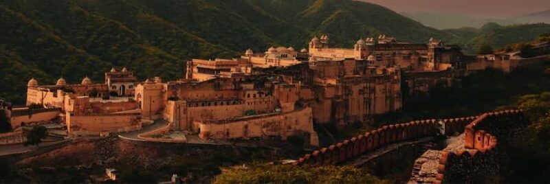 Jaipur: Interactive Elephant Experience Feed, Paint & Ride - The Value Perspective