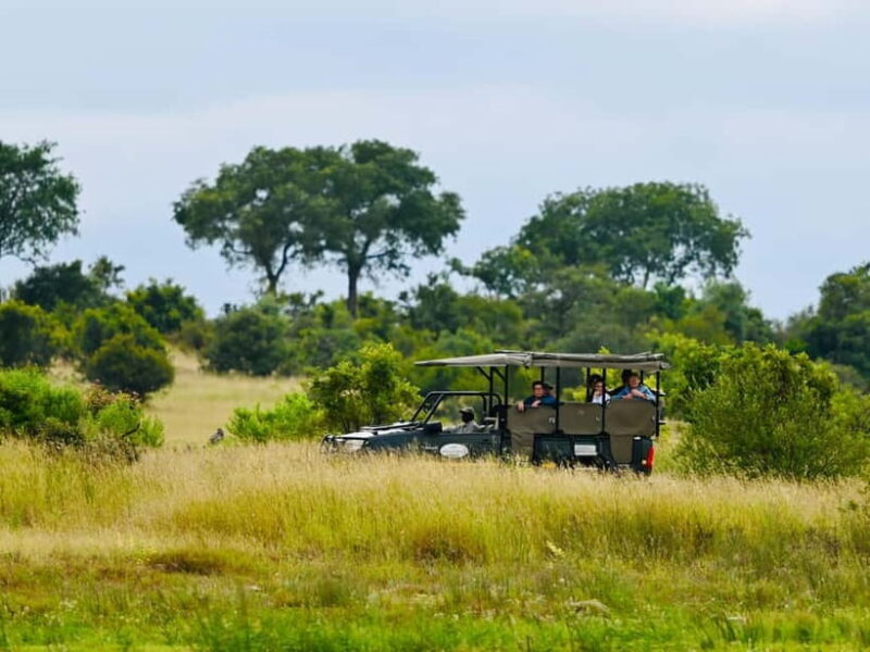 Jaipur: Jhalana Amagarh Leopard Reserve 4×4 Jeep Safari - The Experience: What You’ll Really Get