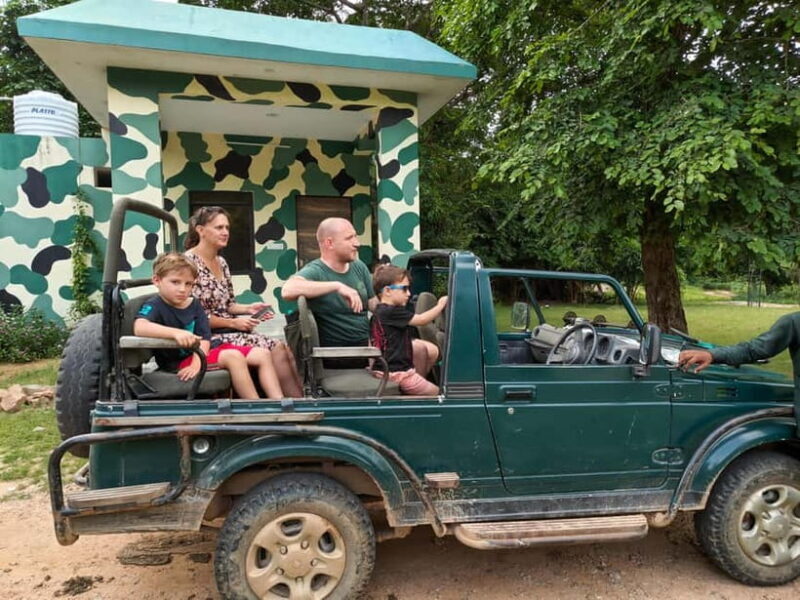 Jaipur: Jhalana Amagarh Leopard Reserve 4×4 Jeep Safari - The Sum Up: Is the Jhalana Safari Worth It?