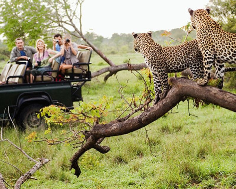 Jaipur: Jhalana/Amargarh Leopard Safari Private Tour - What You Can Expect
