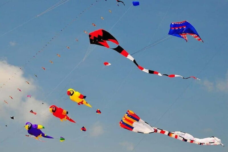 Jaipur: Makar Sankranti Kite Festival with Local Family - The Value of This Experience