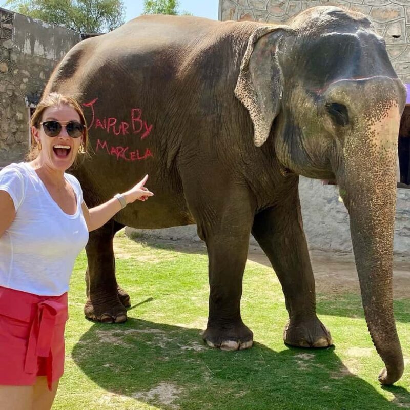 Jaipur: Night Tuk Tuk Tour with English Speaking Driver - Introduction