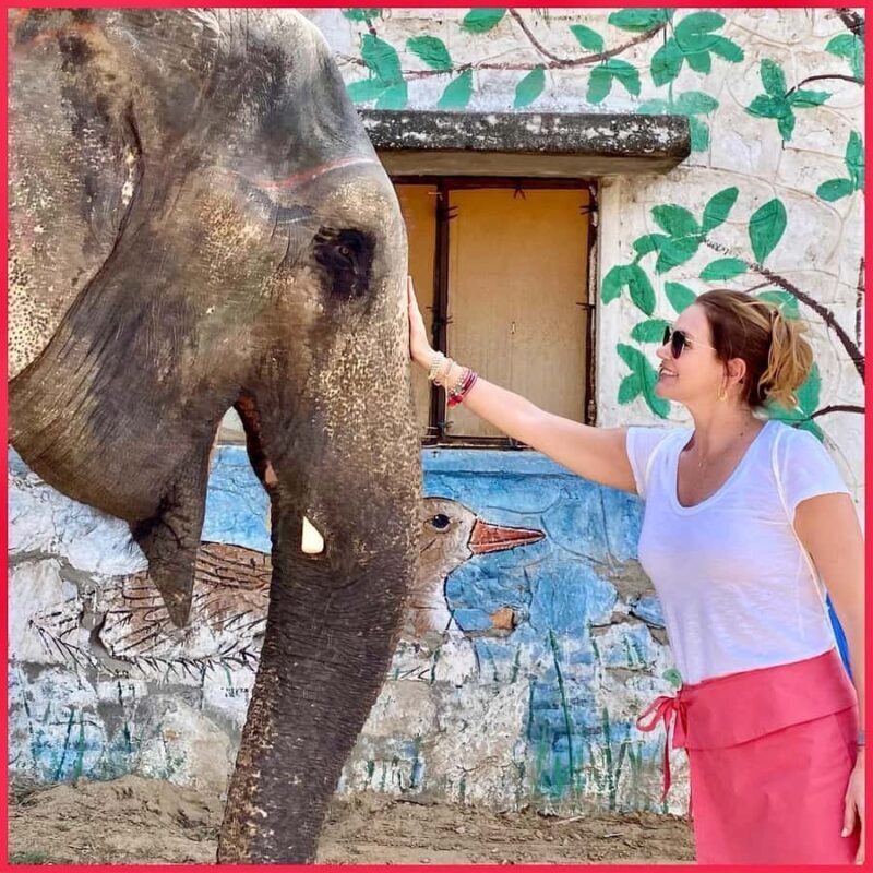 Jaipur: Night Tuk Tuk Tour with English Speaking Driver - Why Choose This Tour?