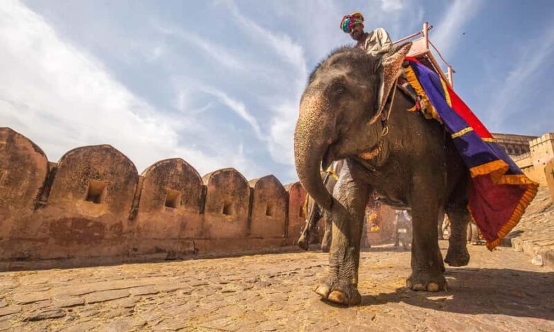 Jaipur Private Day Tour by Car with a Guide - A Deep Dive into the Jaipur Private Day Tour
